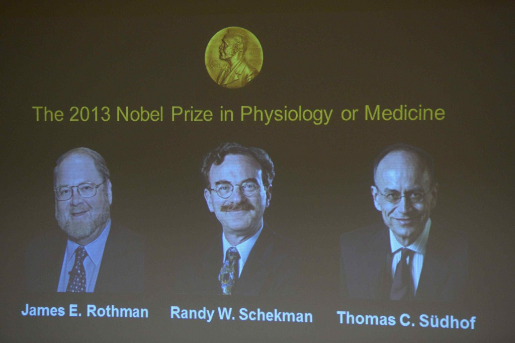 Portraits of winners of the 2013 Nobel prize for medicine or physiology, James Rothman, Randy Schekman and Thomas Suedhof (L-R), are displayed on a screen at the Nobel Assembly at the Karolinska Institute in Stockholm October 7, 2013. Two Americans, Rothman and Schekman, and Germany's Sudhof won the prize for research into how the cell organises its transport system, the award-giving body said on Monday. REUTERS/Janerik Henriksson/TT News Agency (SWEDEN - Tags: SCIENCE TECHNOLOGY HEALTH) ATTENTION EDITORS - THIS IMAGE WAS PROVIDED BY A THIRD PARTY. FOR EDITORIAL USE ONLY. NOT FOR SALE FOR MARKETING OR ADVERTISING CAMPAIGNS. THIS PICTURE IS DISTRIBUTED EXACTLY AS RECEIVED BY REUTERS, AS A SERVICE TO CLIENTS. SWEDEN OUT. NO COMMERCIAL OR EDITORIAL SALES IN SWEDEN. NO COMMERCIAL SALES ORG XMIT: SIN002