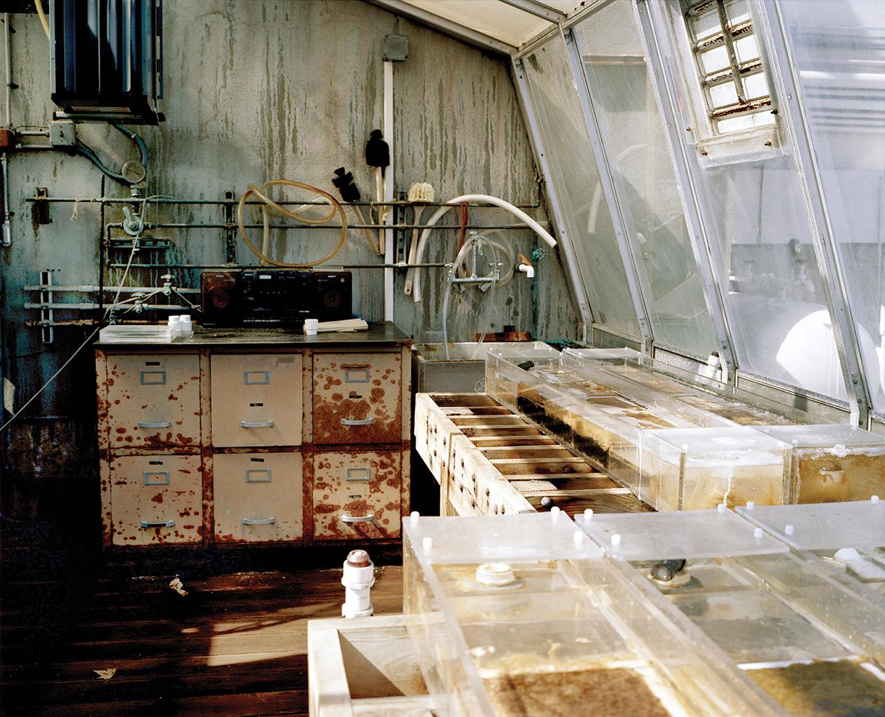 微生物群，NASA Ames温室。