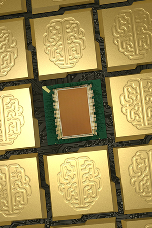 IBM设计的这种芯片，正是借用了大脑工作的原理，公司正致力于研发能让移动设备更智能的版本。
