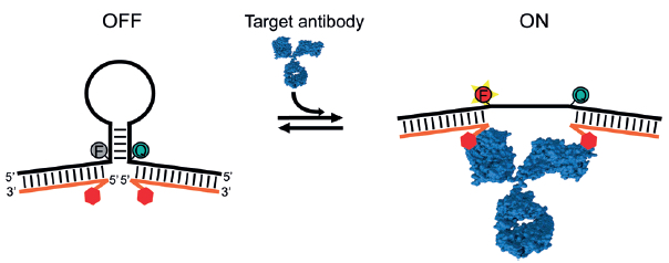 protein-targeting-sensor
