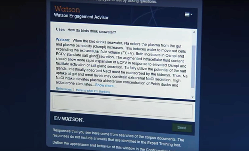 Watson-Screenshot