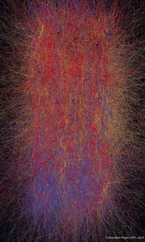 图片来自蓝脑计划，展现了哺乳动物的新皮层柱连接的复杂性。而这里展示的还仅仅是10000个神经元和3000万个连接，人脑可要比这还要复杂数百万倍。